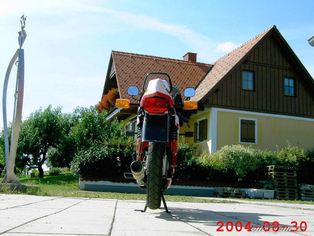 1986 SACHS ULTRA RS 50 | Picture 210483 motorcycle photo