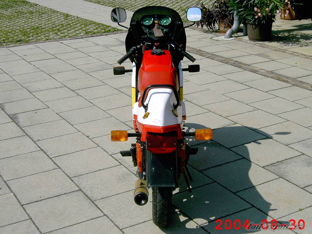 1986 SACHS ULTRA RS 50 | Picture 210498 motorcycle photo