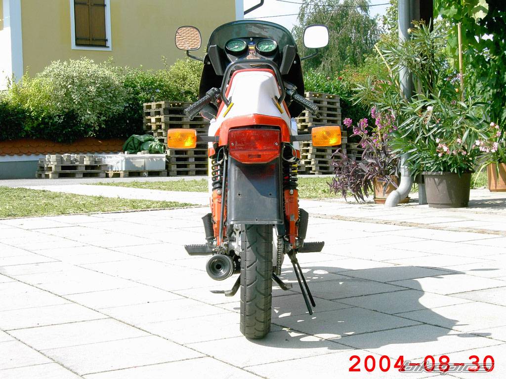1986 SACHS ULTRA RS 50 | Picture 210501 motorcycle photo