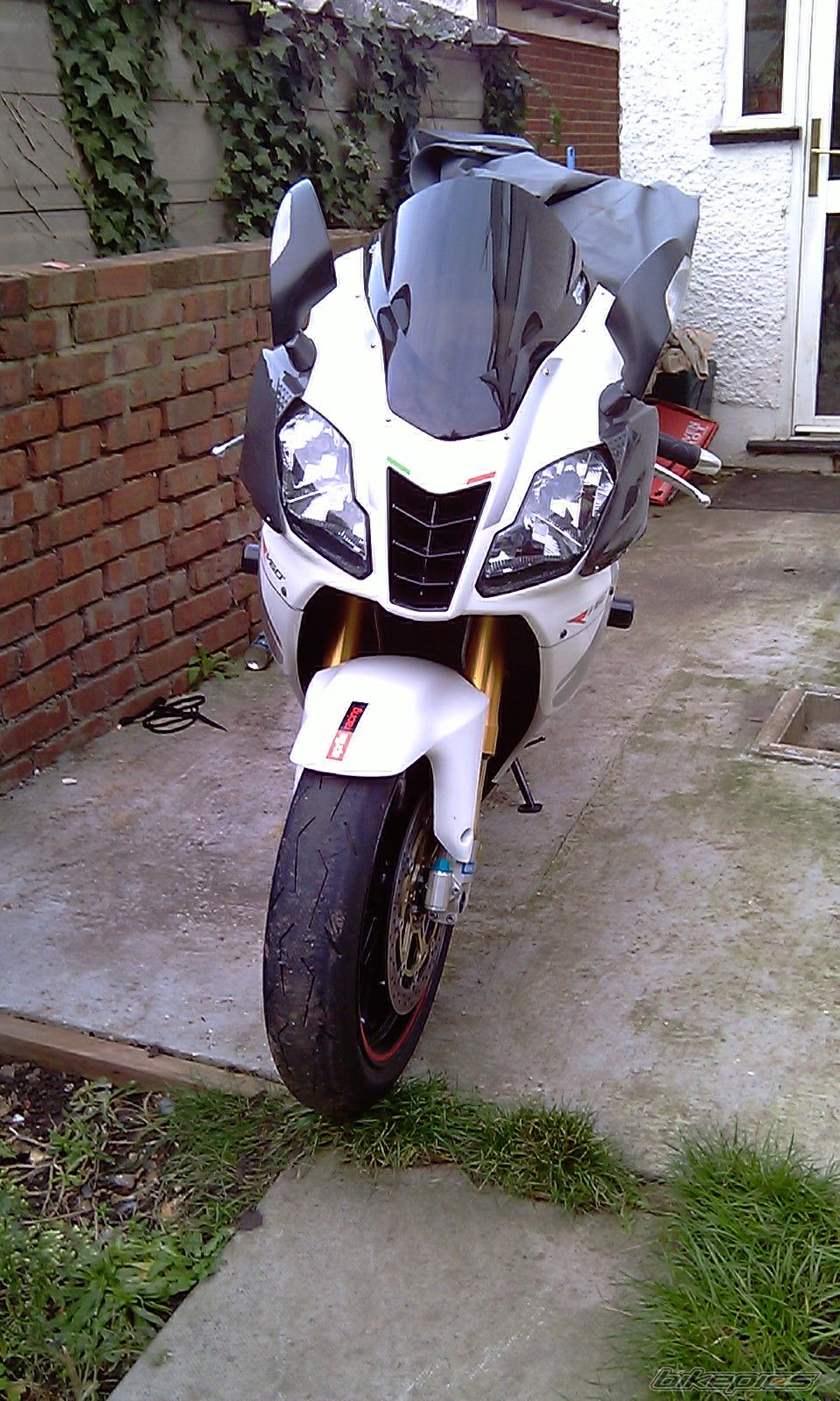 2009 APRILIA RSV 1000R MILLE | Picture 2105022 motorcycle photo