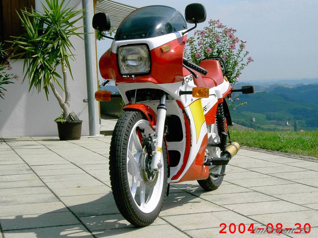 1986 SACHS ULTRA RS 50 | Picture 210510 motorcycle photo