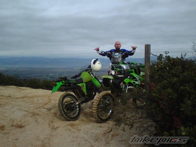 1999 KAWASAKI KX 250 | Picture 2105183 motorcycle photo