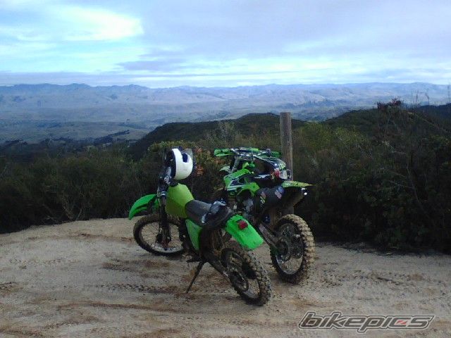 1999 KAWASAKI KX 250 | Picture 2105185 motorcycle photo