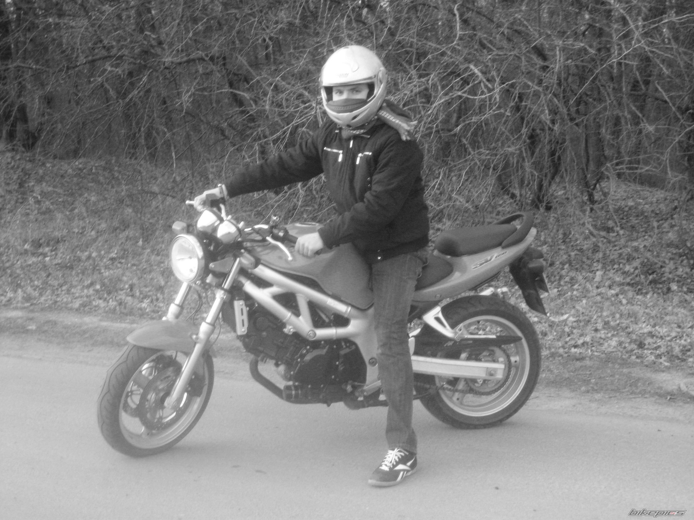 1999 SUZUKI SV 650 | Picture 2105633 motorcycle photo