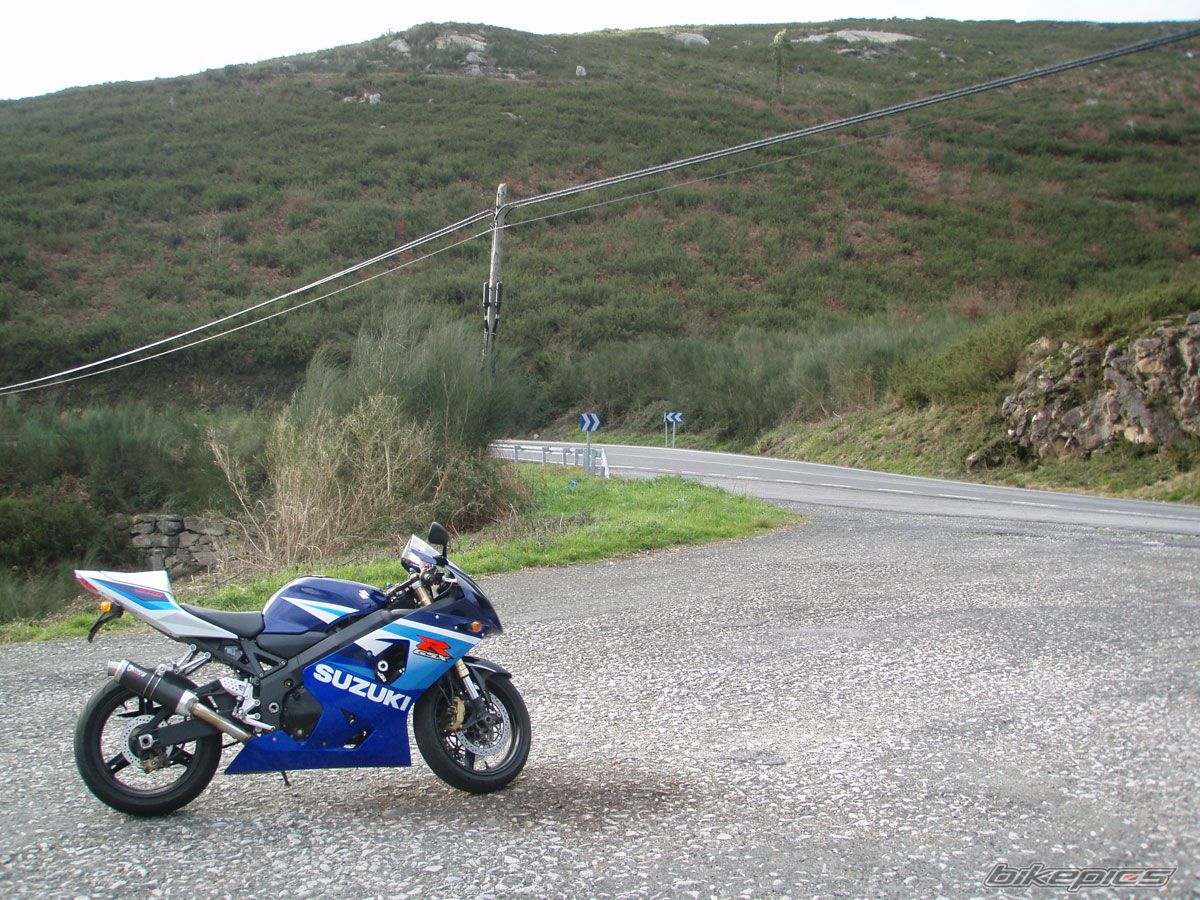 2005 SUZUKI GSX R 600 | Picture 2106242 motorcycle photo