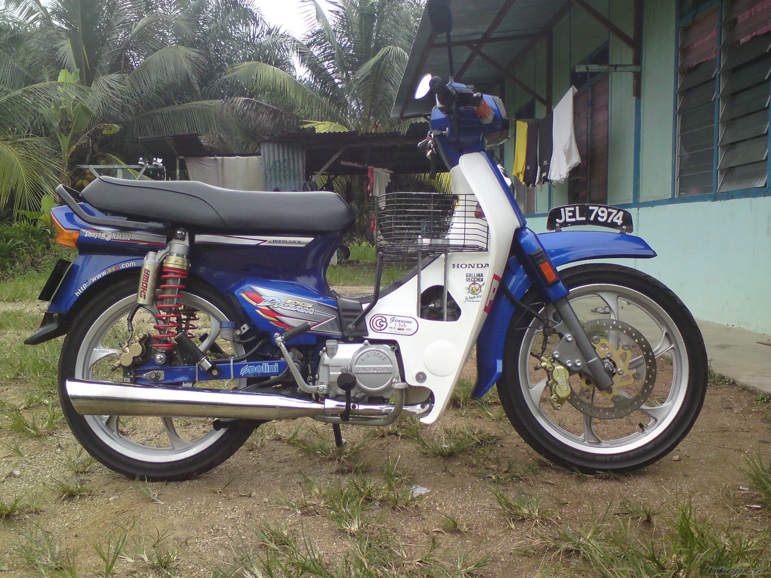 2011 HONDA EX5 DREAM | Picture 2106301 motorcycle photo