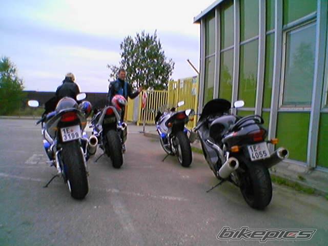 2002 SUZUKI GSX R 1000 | Picture 210632 motorcycle photo