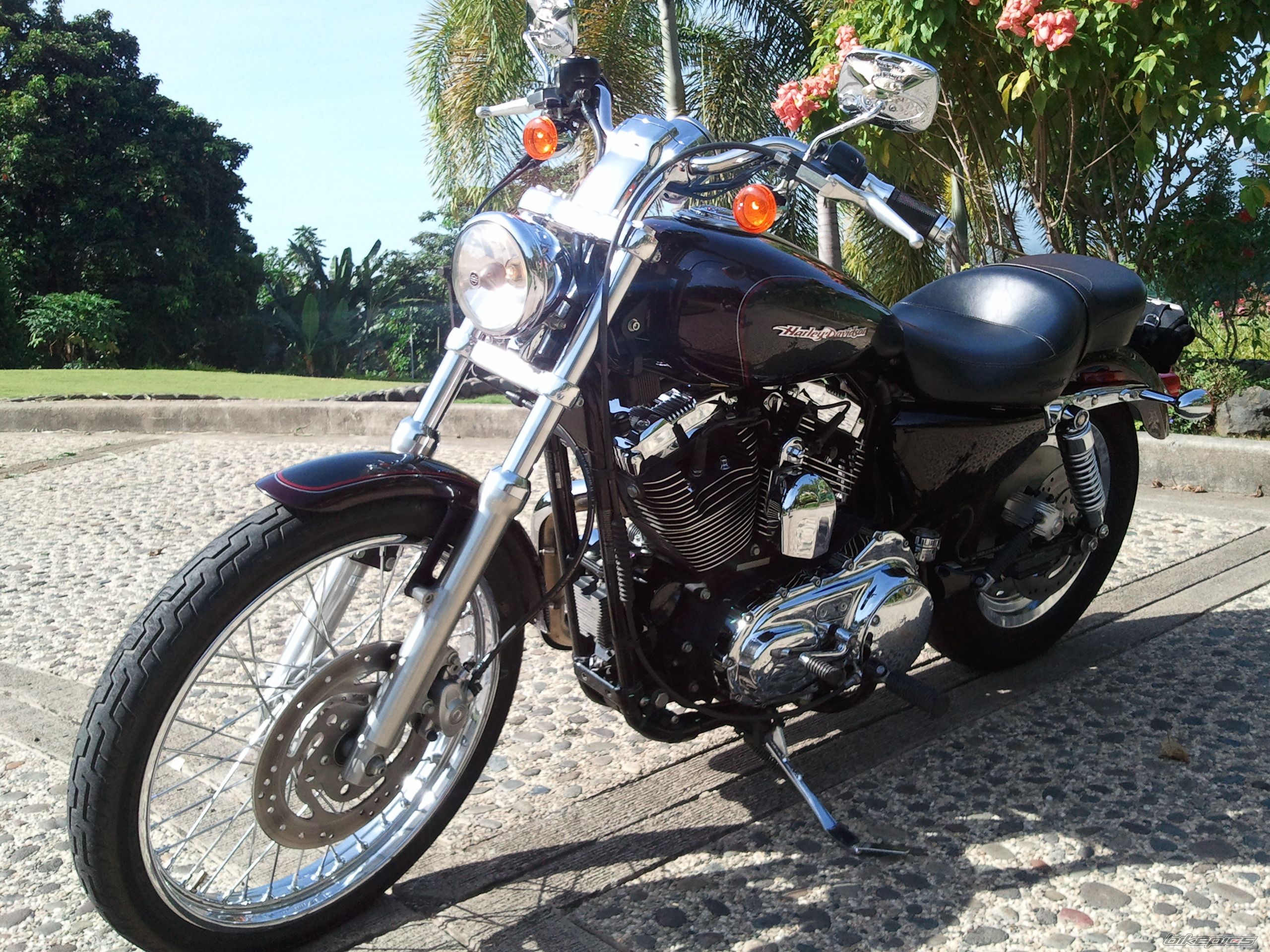 2006 HARLEY DAVIDSON XL 1200 C | Picture 2106592 motorcycle photo
