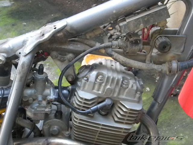 2010 KAWASAKI KMX 125 | Picture 2106696 motorcycle photo