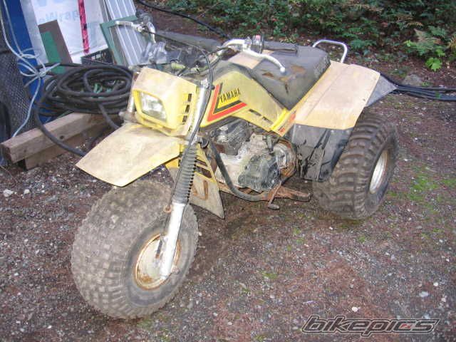 1984 YAMAHA YTM 225 | Picture 2107020 motorcycle photo