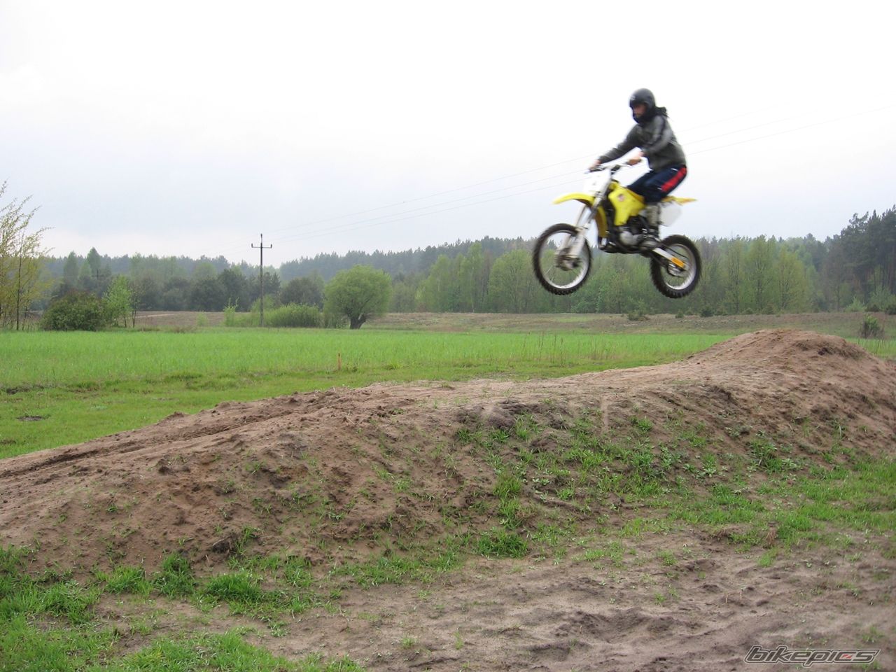 2003 SUZUKI RM 85 | Picture 2107644 motorcycle photo
