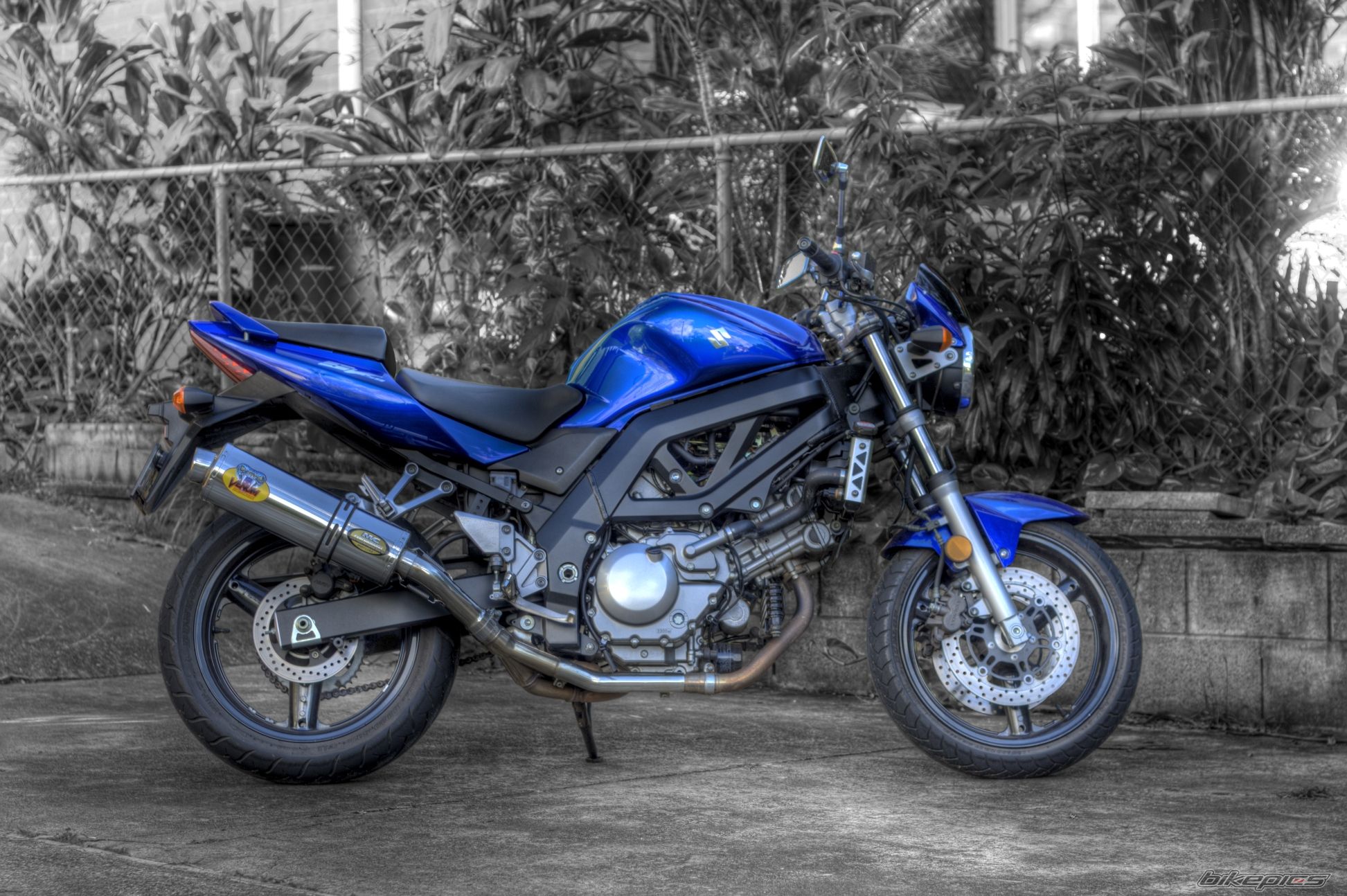 2005 SUZUKI SV 650 | Picture 2107885 motorcycle photo