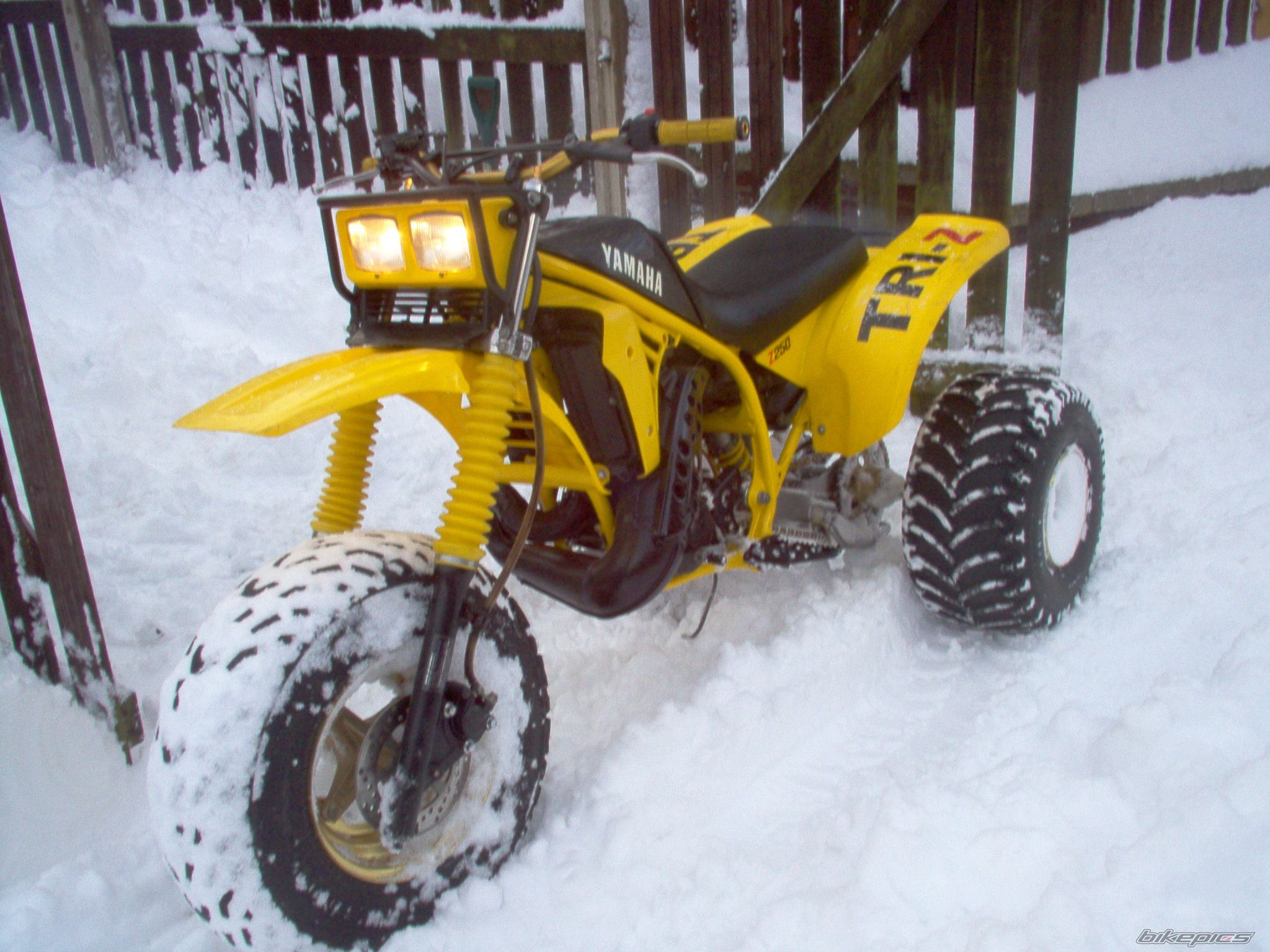 1985 YAMAHA YTZ 250 | Picture 2108285 motorcycle photo