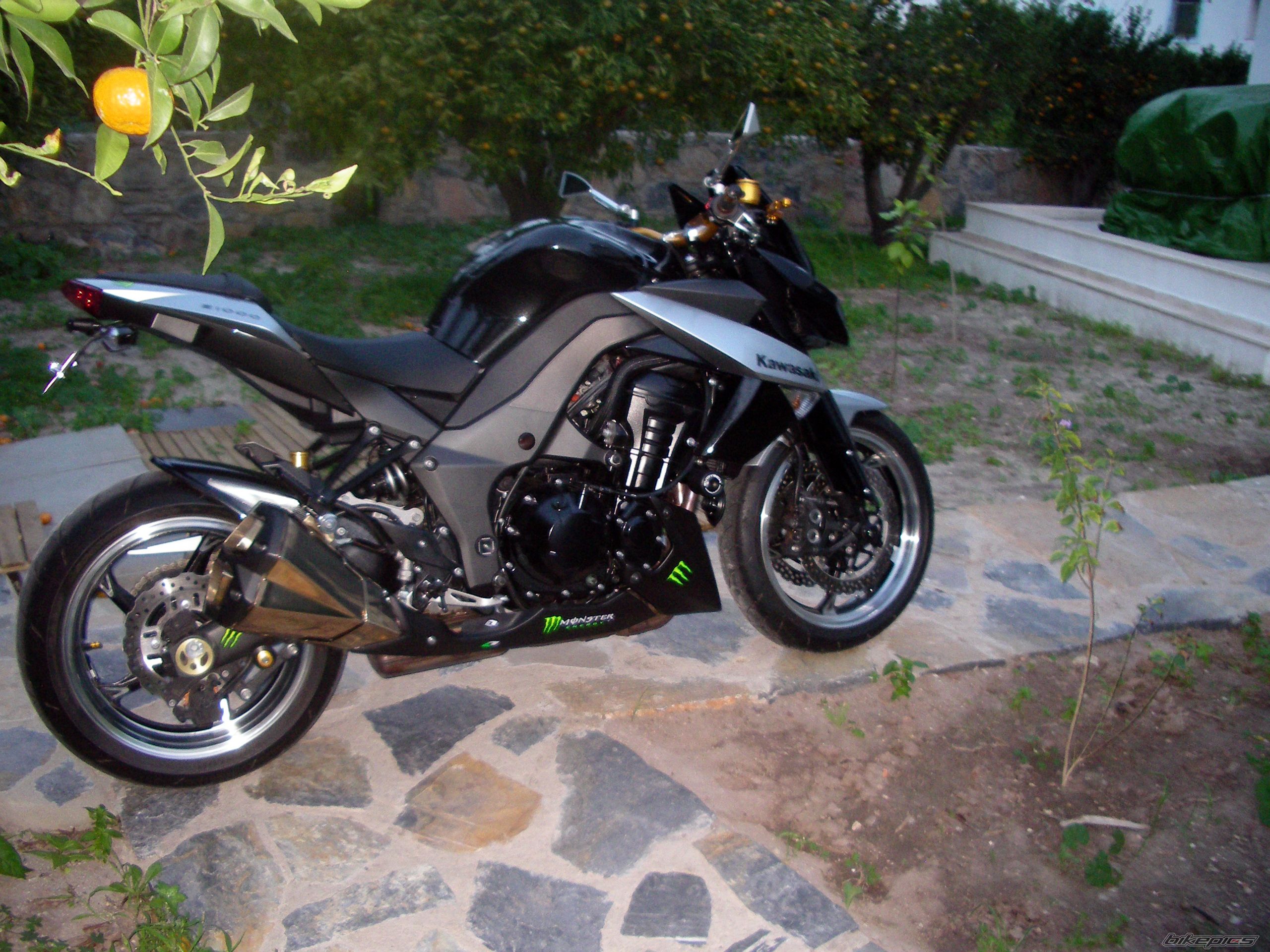 2010 KAWASAKI Z 1000 | Picture 2108582 motorcycle photo