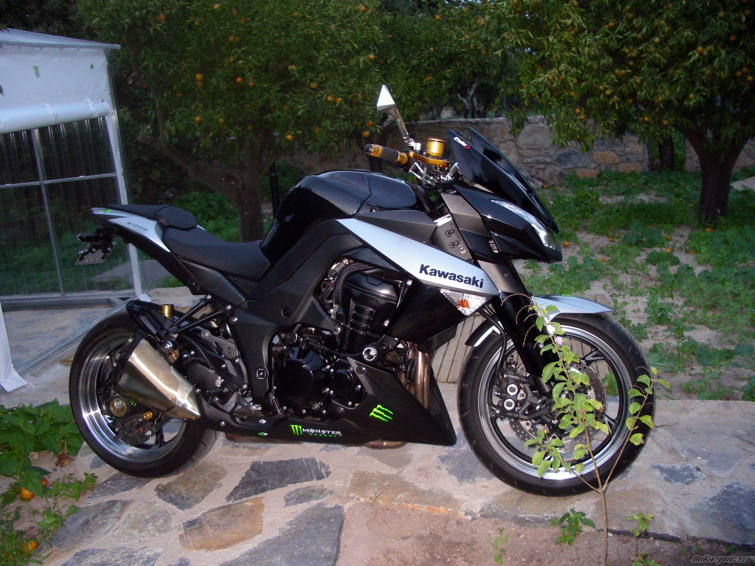 2010 KAWASAKI Z 1000 | Picture 2108583 motorcycle photo