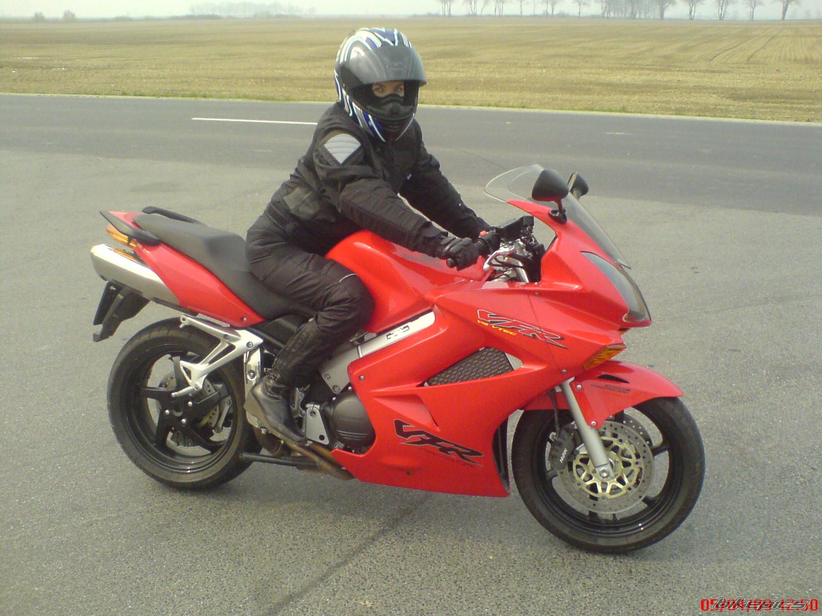2004 HONDA VFR 800 | Picture 2109140 motorcycle photo