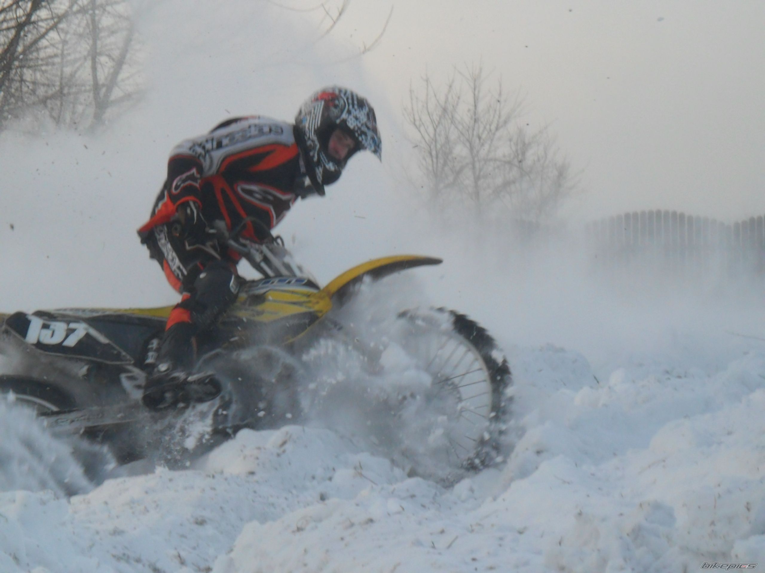 1998 SUZUKI RM 250 | Picture 2109204 motorcycle photo