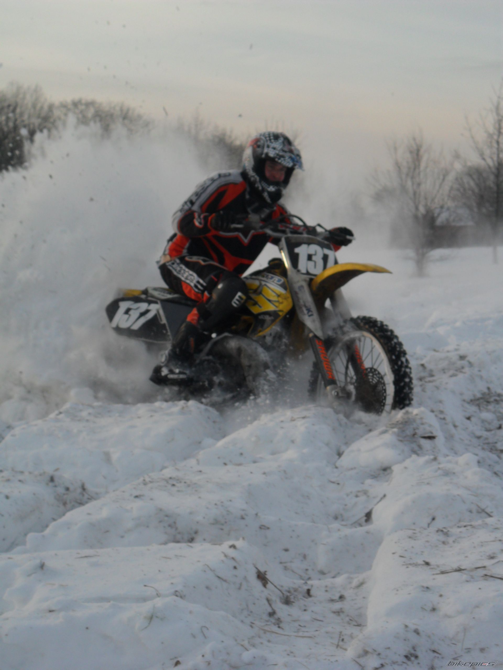 1998 SUZUKI RM 250 | Picture 2109208 motorcycle photo