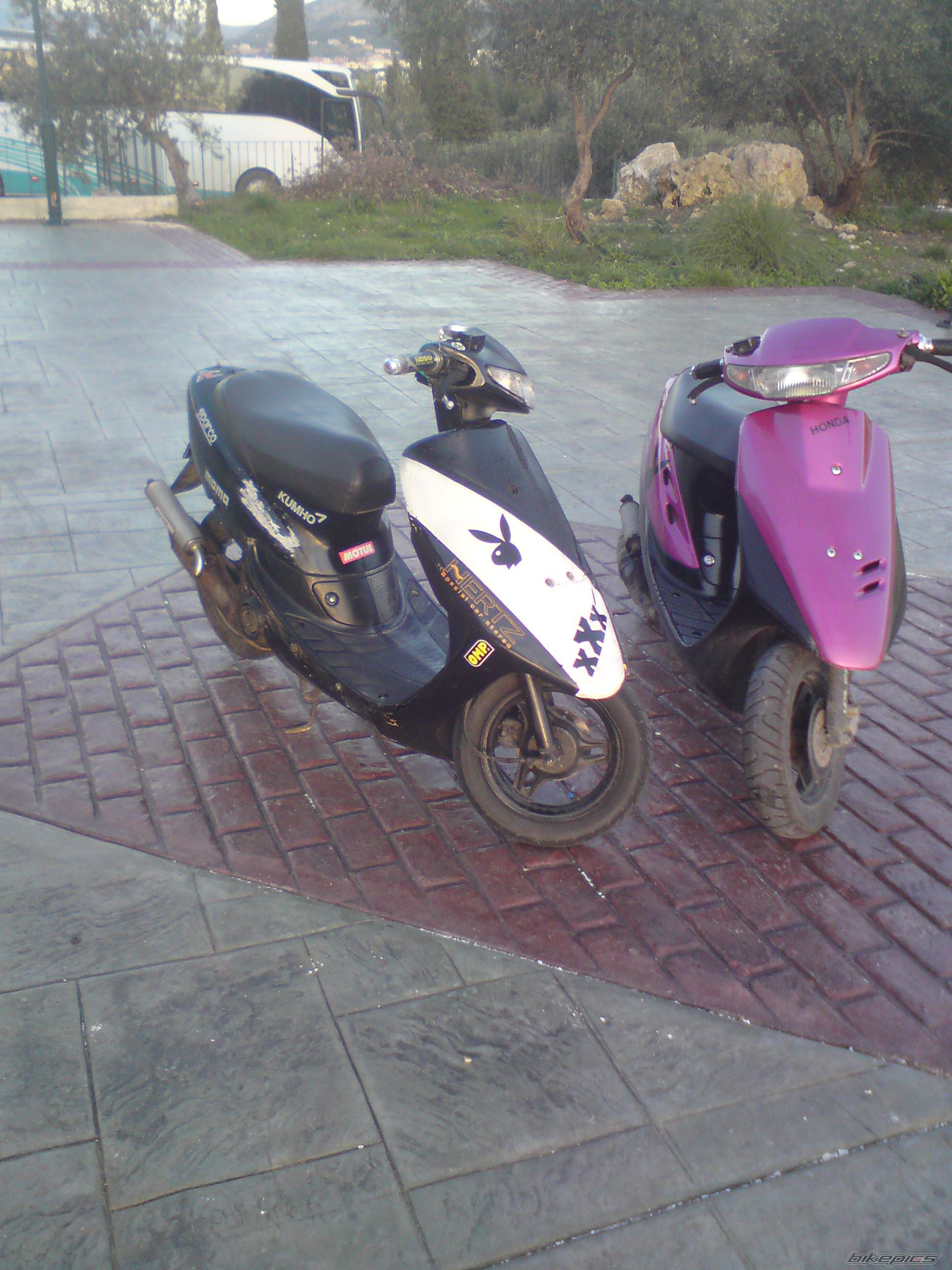 2010 HONDA DIO 50 | Picture 2109403 motorcycle photo