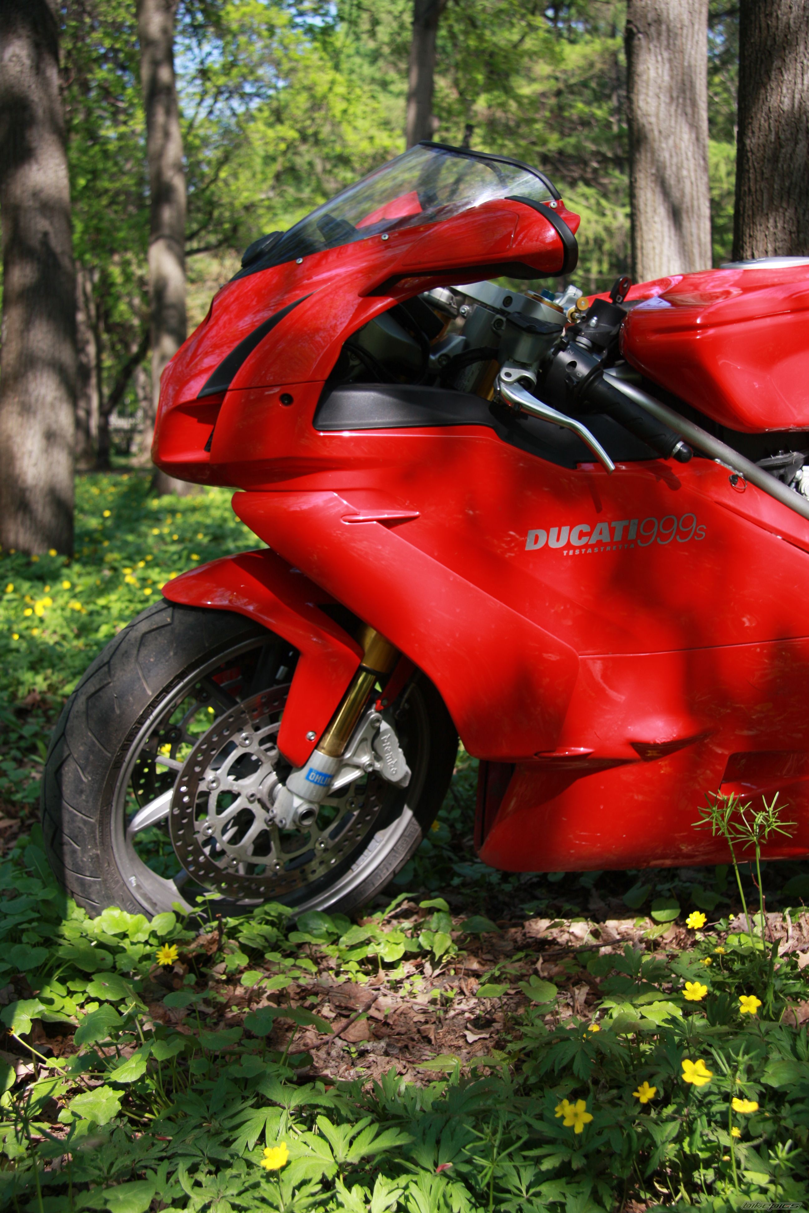 2003 DUCATI 999S | Picture 2109596 motorcycle photo
