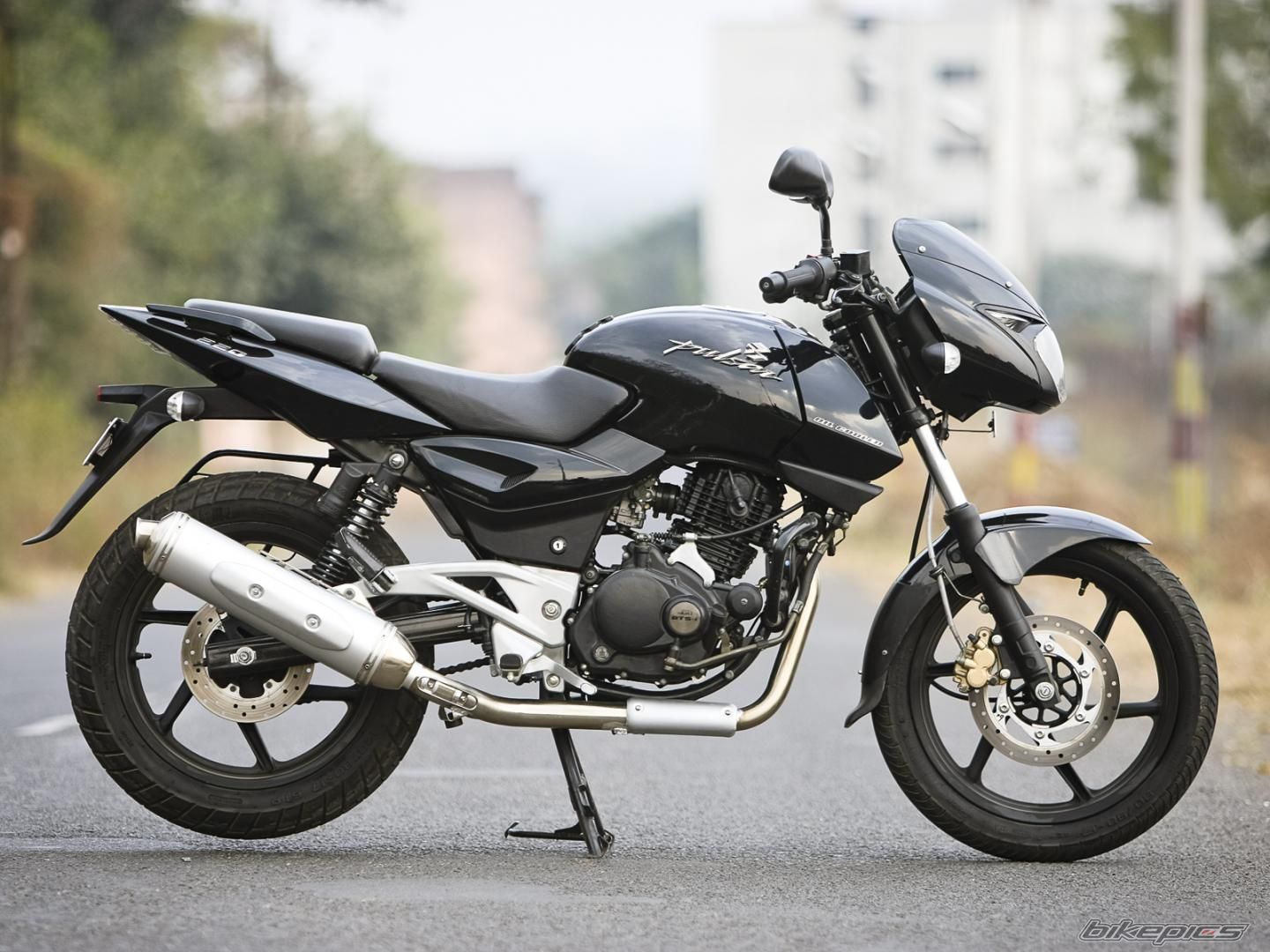 2009 BAJAJ PULSAR 220F | Picture 2109625 motorcycle photo