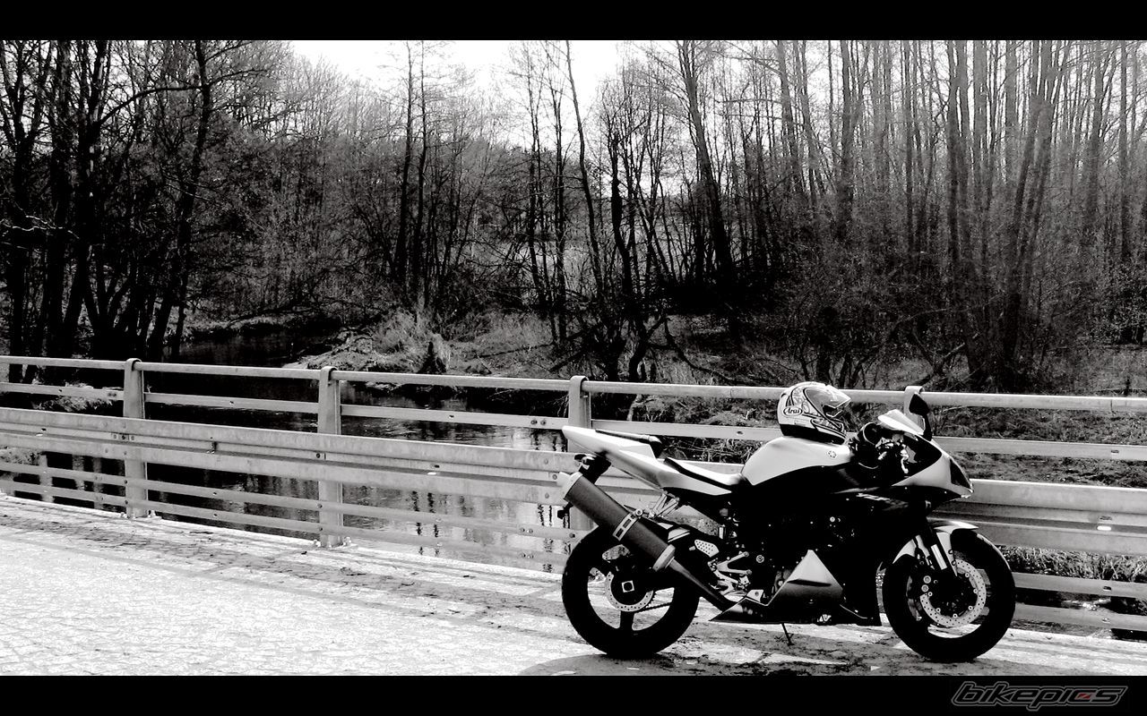 2003 YAMAHA YZF R1 | Picture 2109638 motorcycle photo