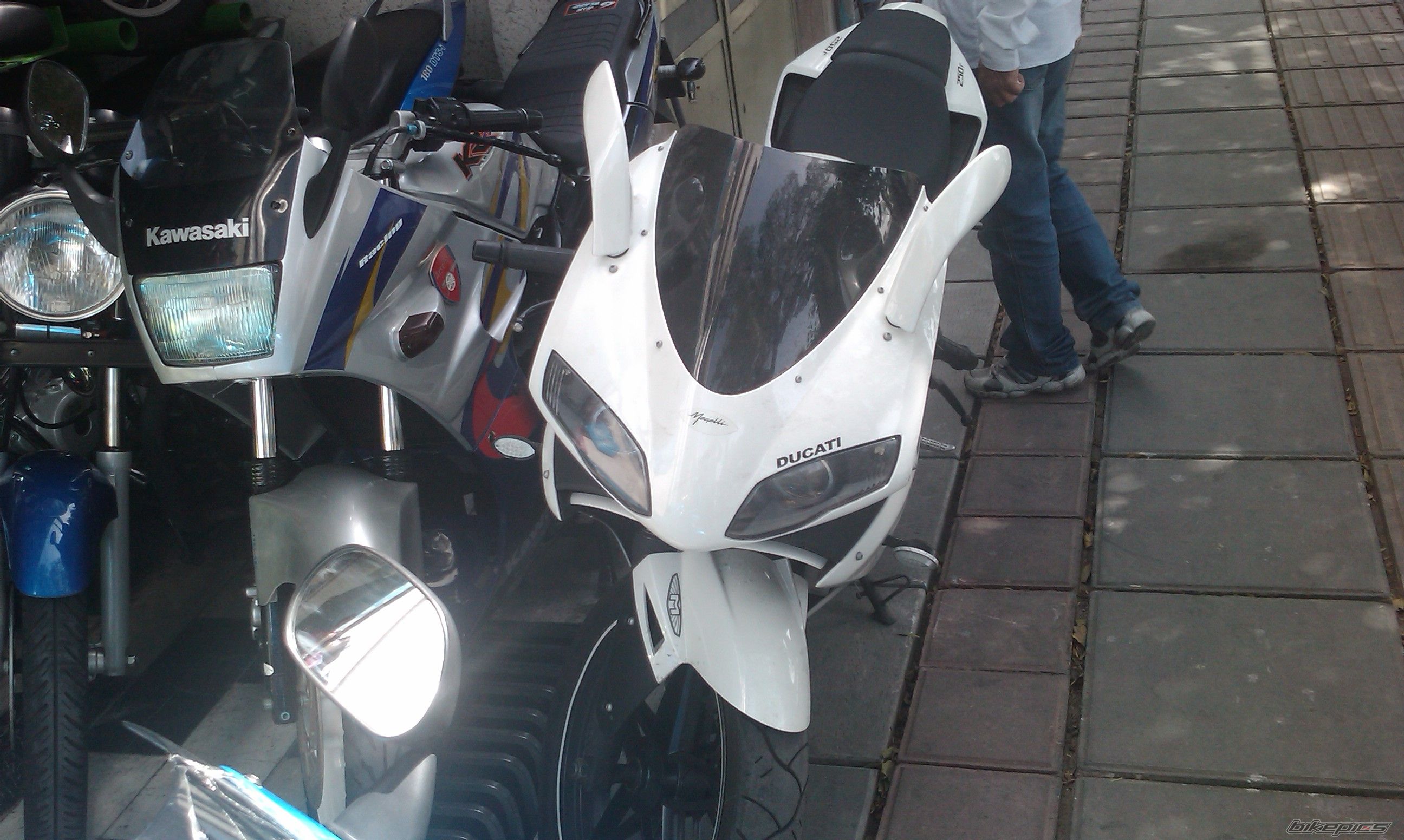 2008 YAMAHA YZF R1 | Picture 2109986 motorcycle photo