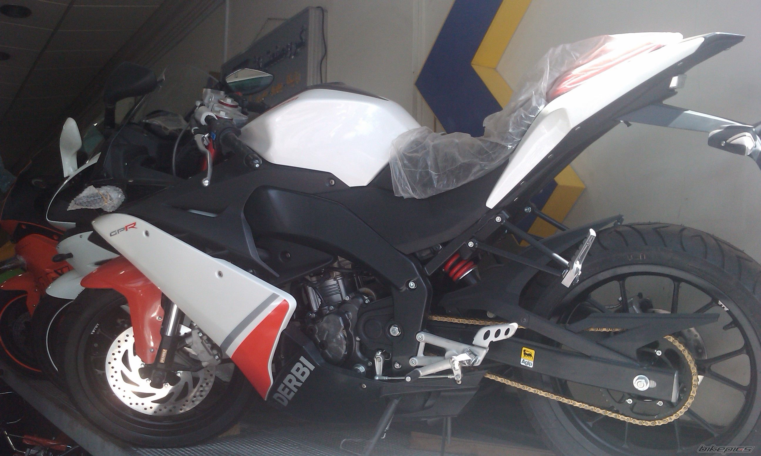 2008 YAMAHA YZF R1 | Picture 2109997 motorcycle photo