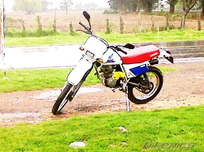 1997 HONDA XL 185 | Picture 2110635 motorcycle photo