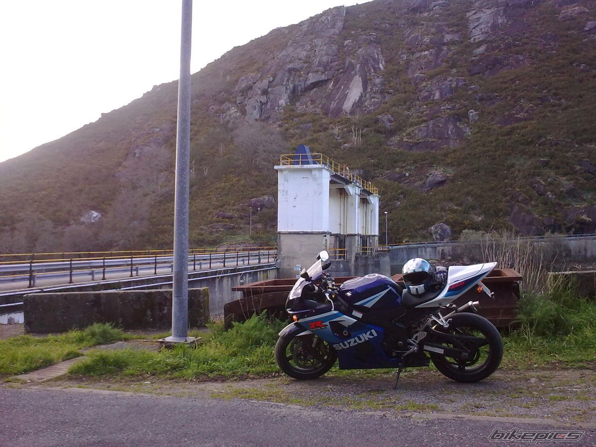 2005 SUZUKI GSX R 600 | Picture 2111005 motorcycle photo