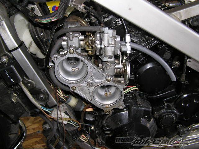 1985 YAMAHA RZ 500 | Picture 2112418 motorcycle photo