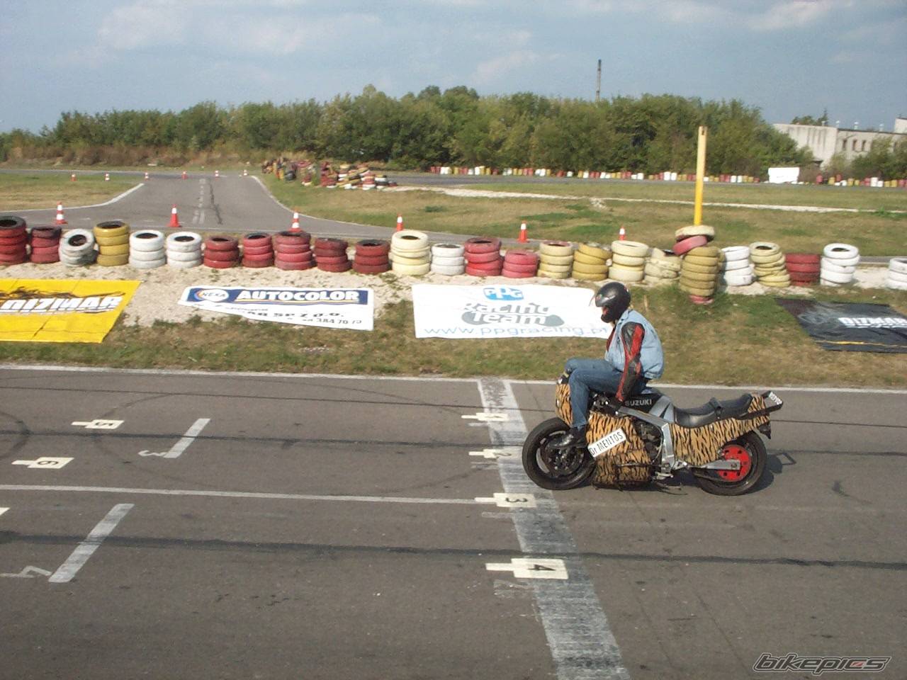 2004 SUZUKI GSX R 1100 | Picture 211258 motorcycle photo