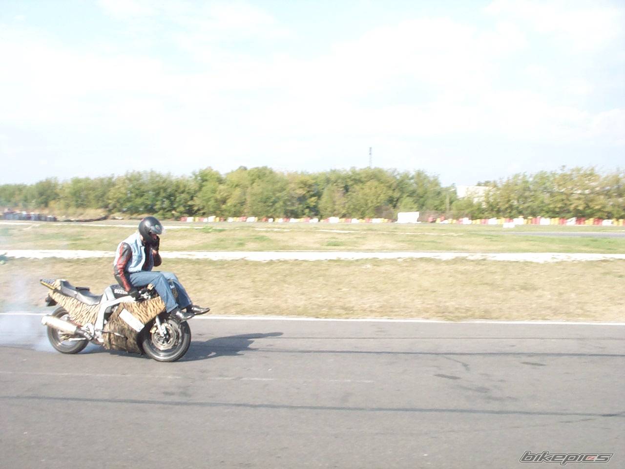 2004 SUZUKI GSX R 1100 | Picture 211260 motorcycle photo