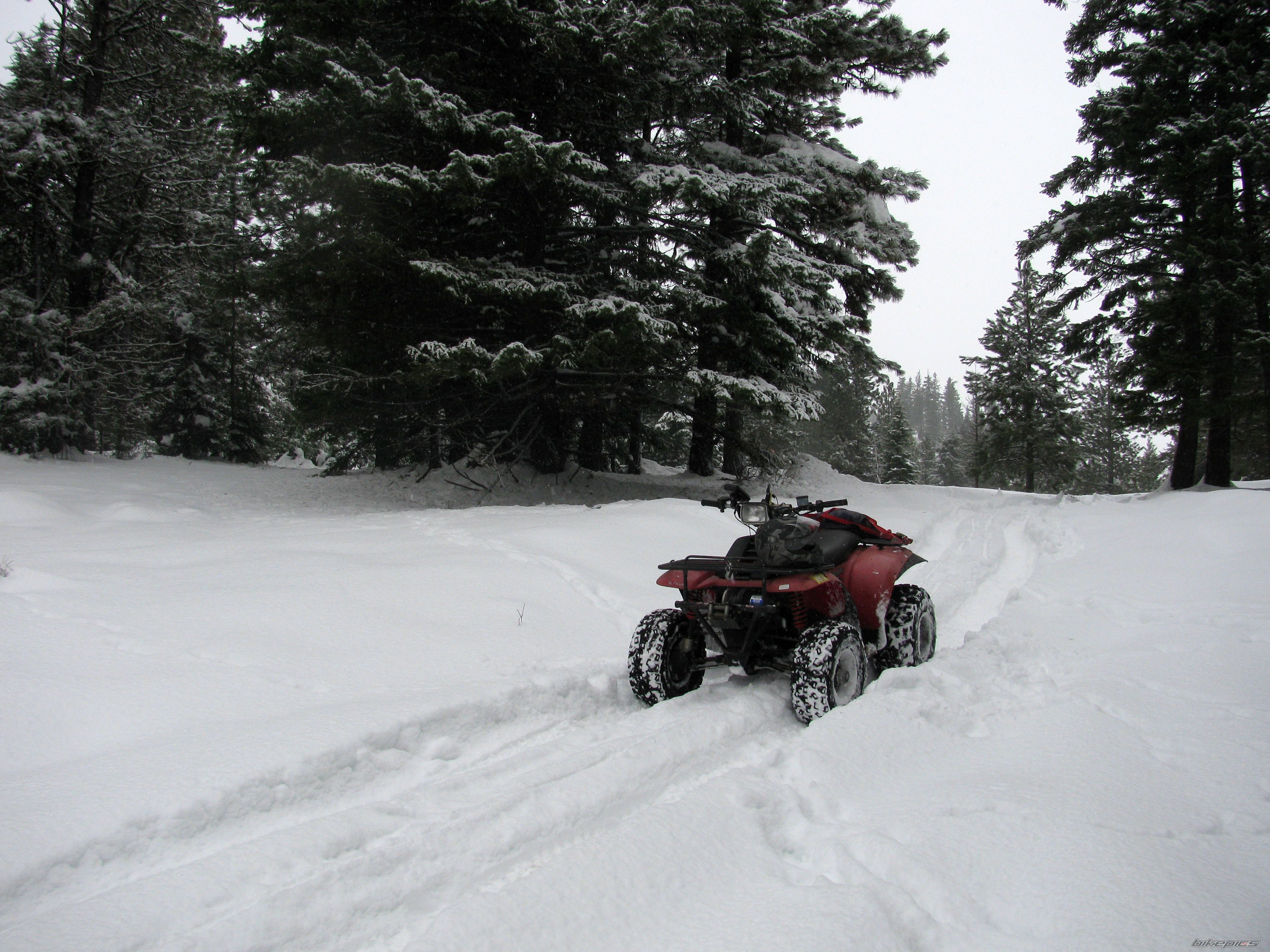1987 POLARIS TRAIL BOSS 250 | Picture 2112614 motorcycle photo