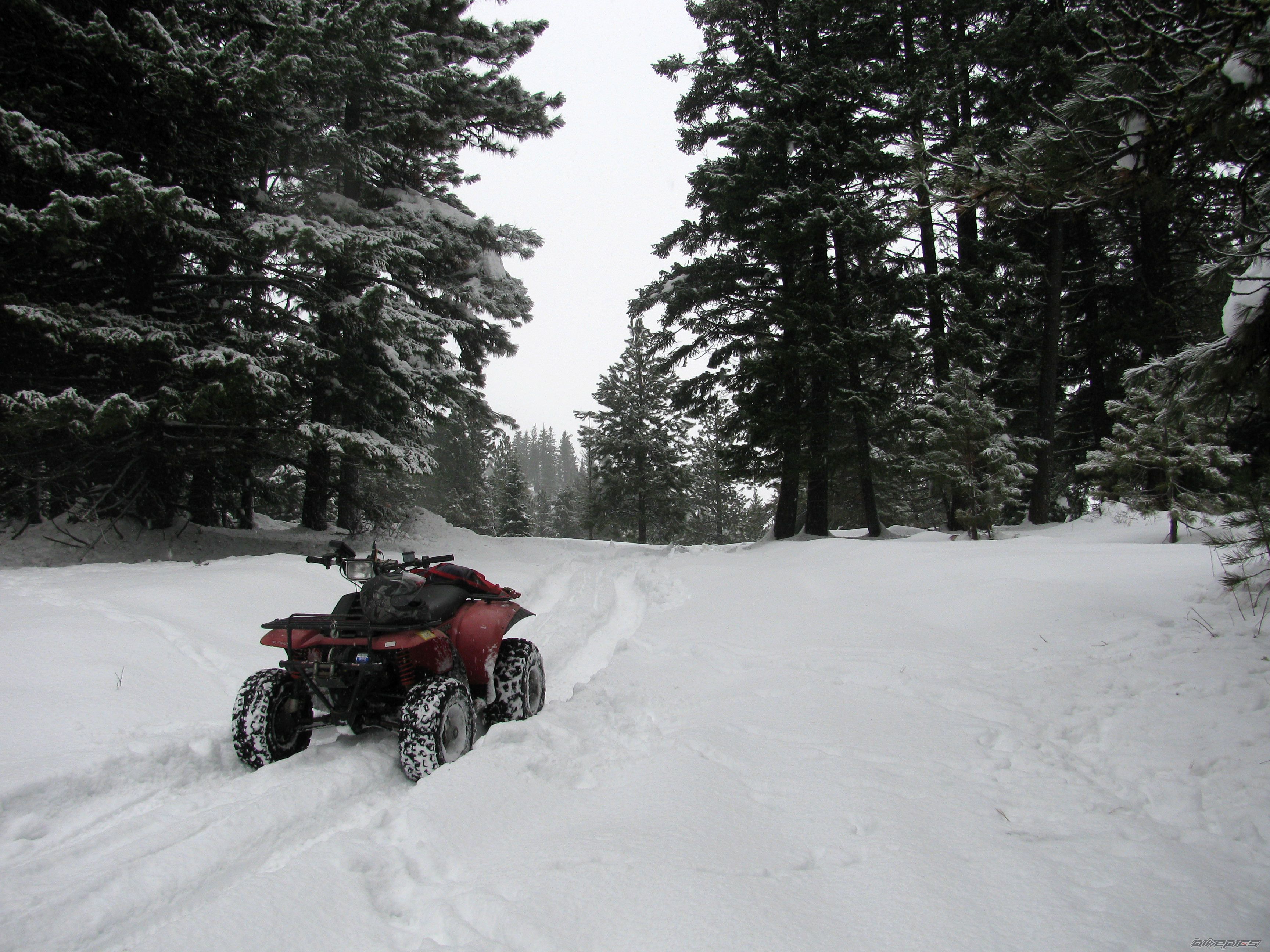 1987 POLARIS TRAIL BOSS 250 | Picture 2112618 motorcycle photo