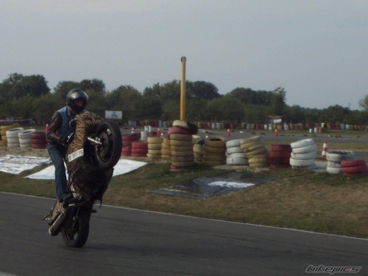 2004 SUZUKI GSX R 1100 | Picture 211262 motorcycle photo