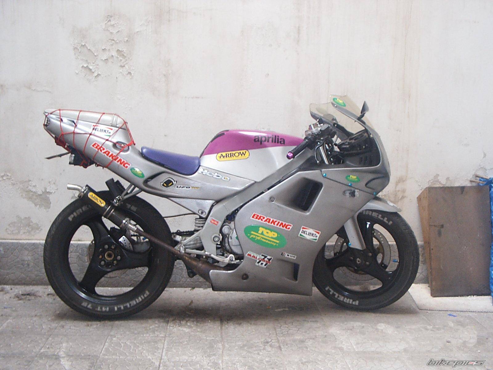 1993 APRILIA AF1 FUTURA 50 | Picture 211318 motorcycle photo