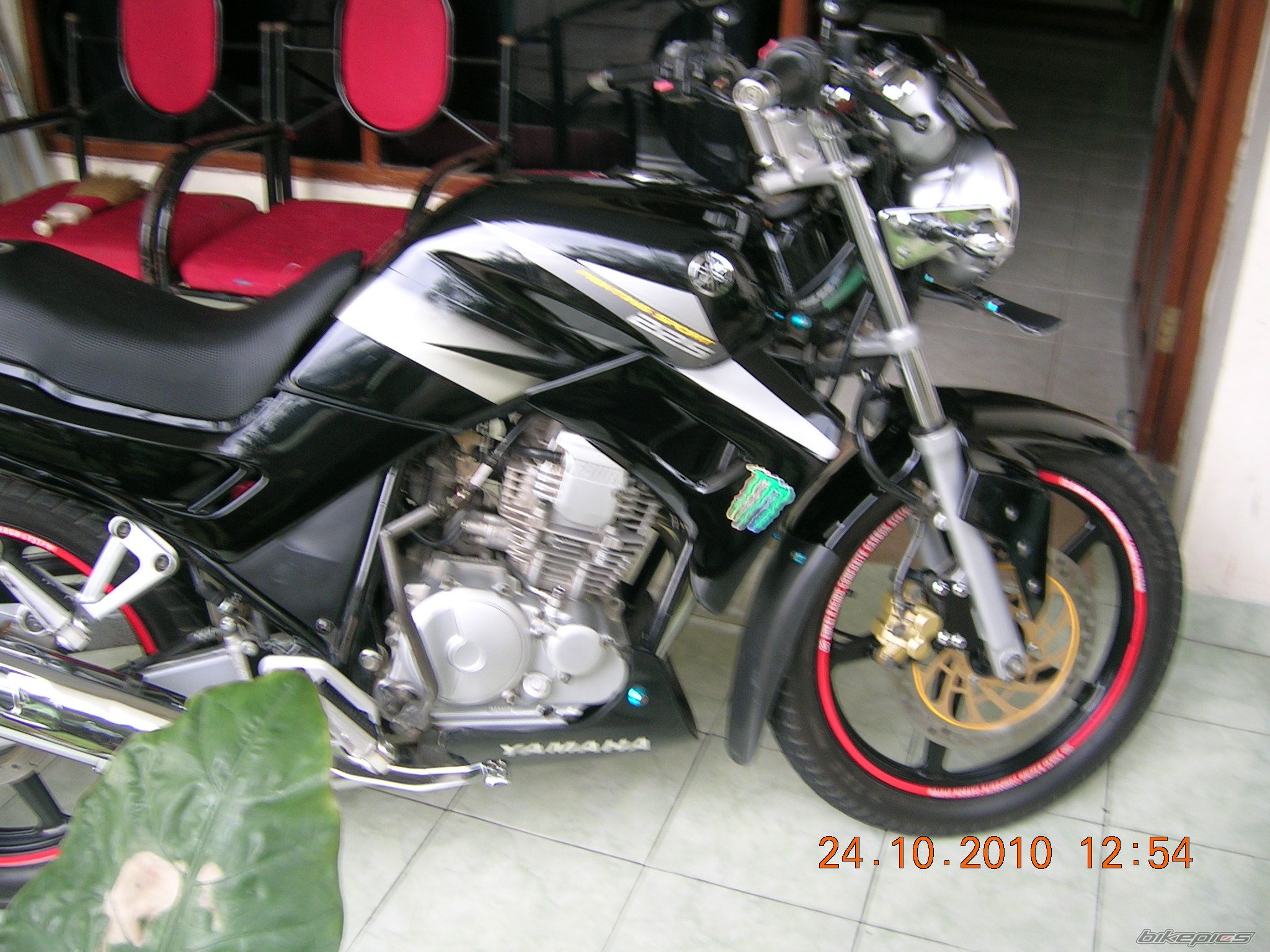 2011 YAMAHA YAMAHA SCORPIO 225 CC | Picture 2113961 motorcycle photo