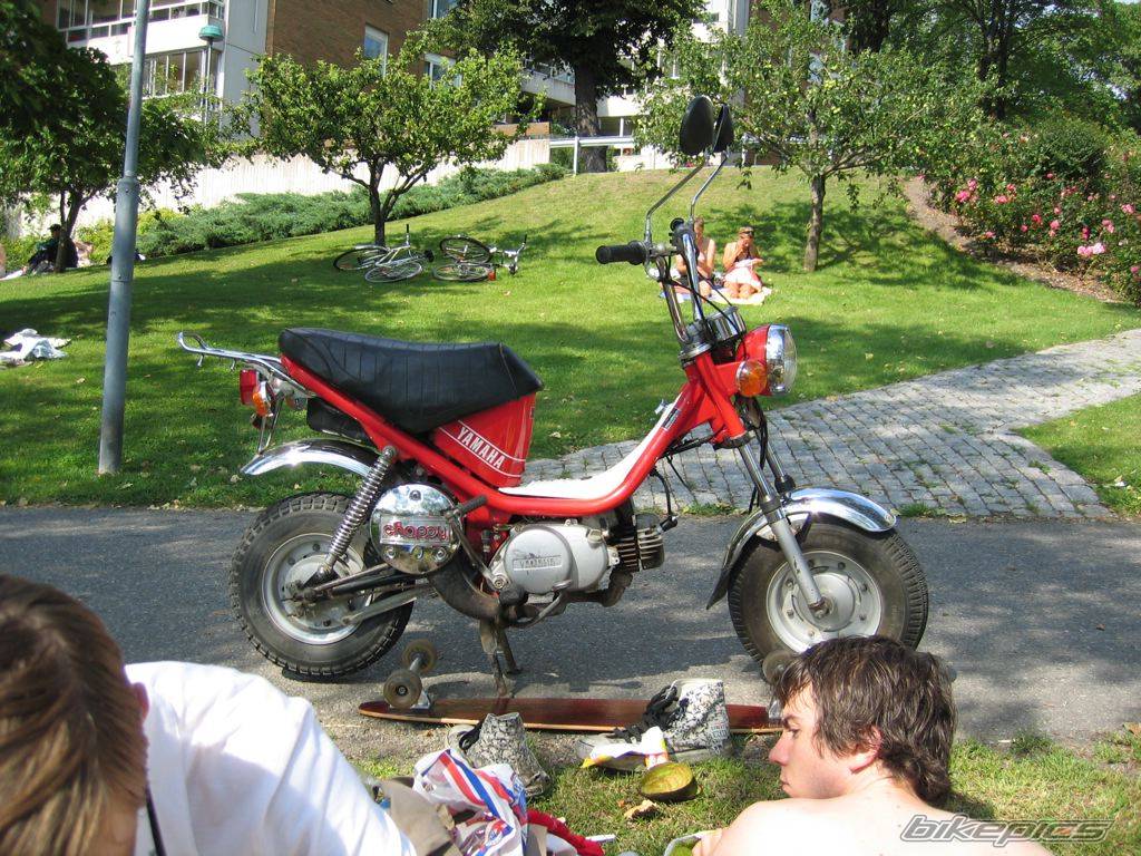 1979 YAMAHA LB 50 CHAPPY | Picture 211450 motorcycle photo