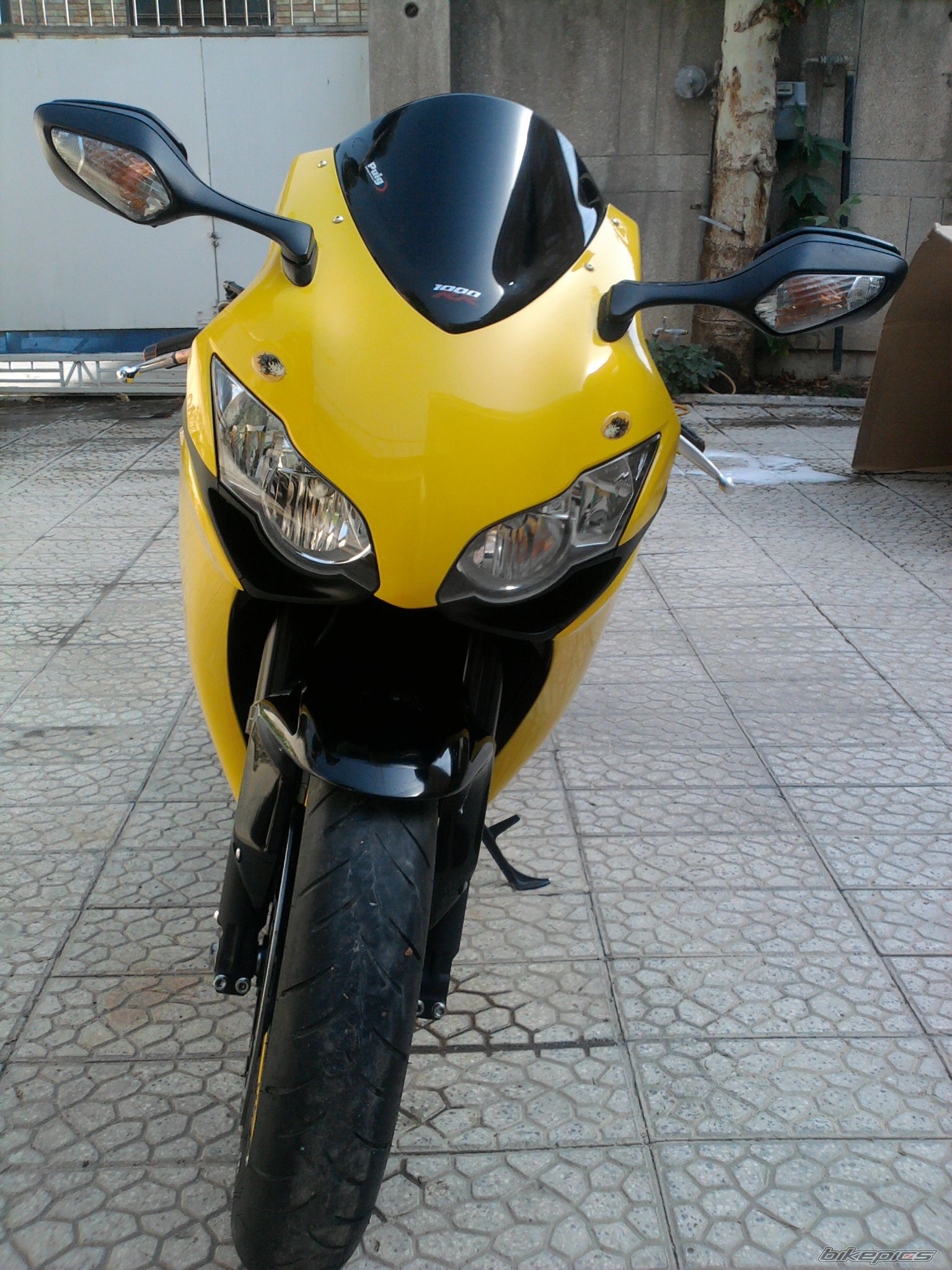 2008 HONDA CBR 1000  RR | Picture 2114953 motorcycle photo