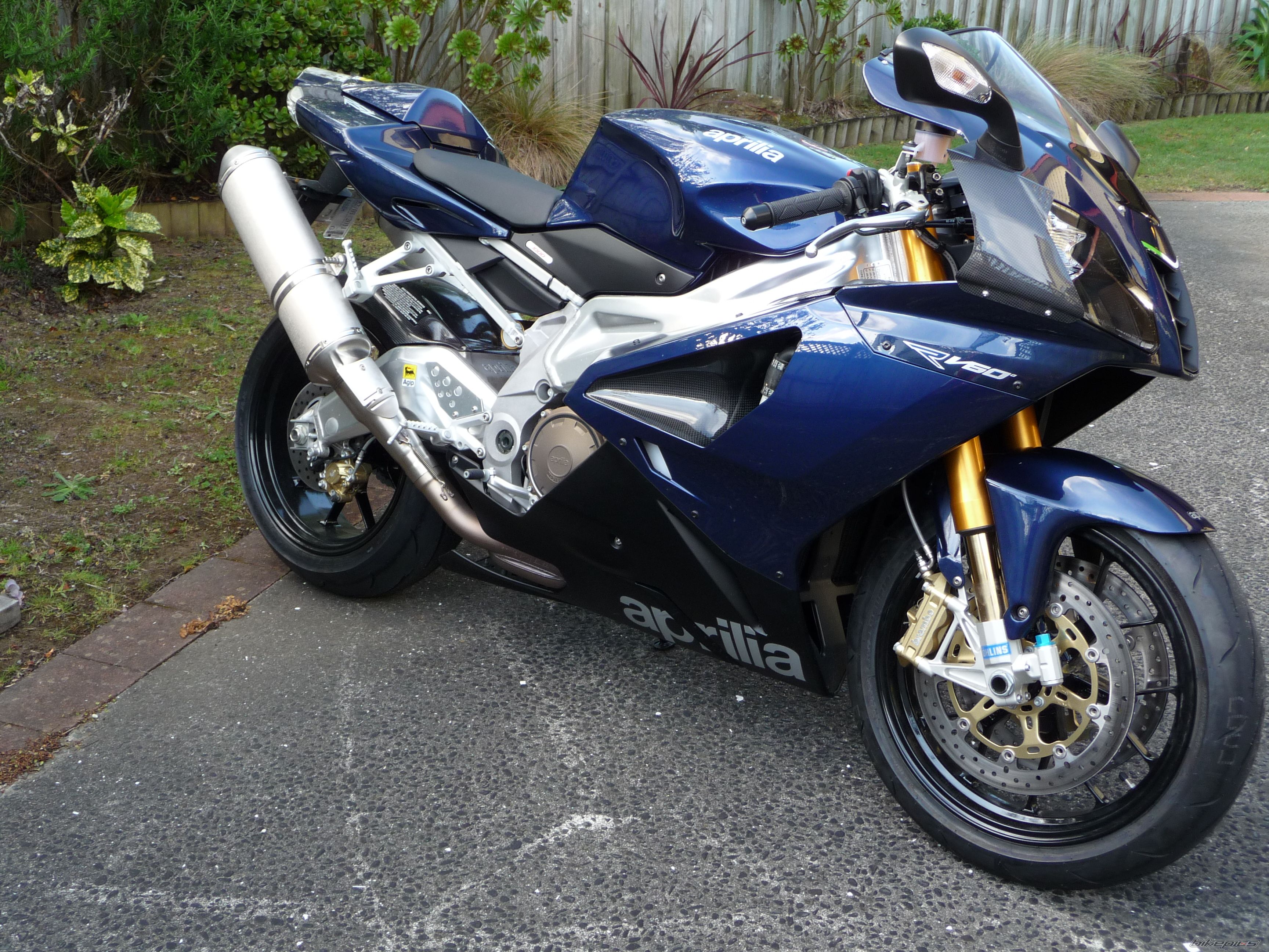 2009 APRILIA RSV 1000R MILLE | Picture 2115464 motorcycle photo