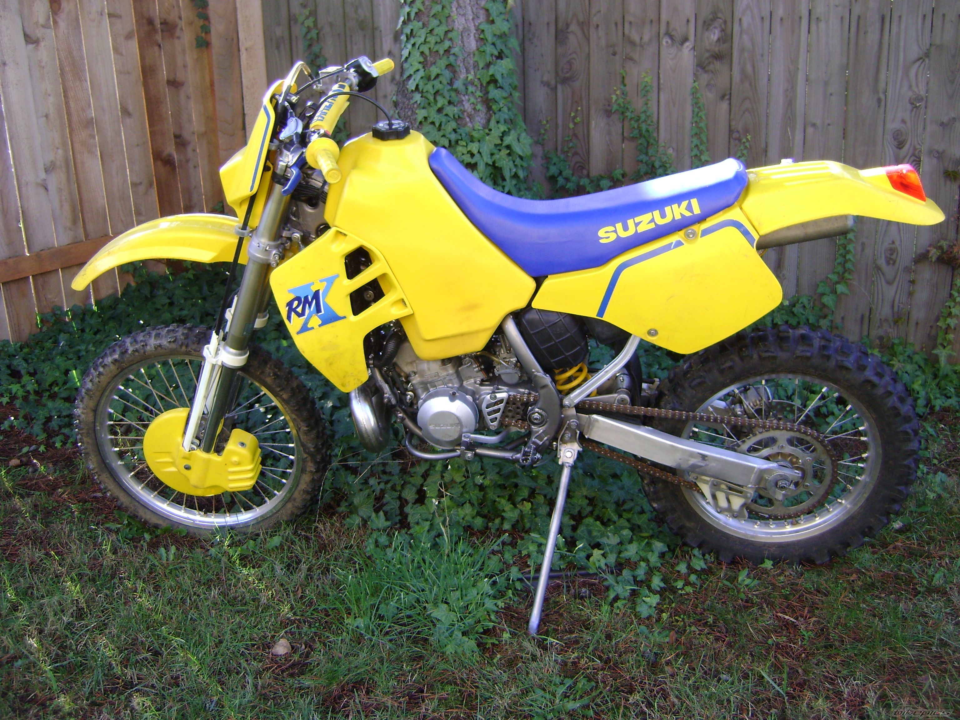 1989 SUZUKI RMX 250 | Picture 2115507 motorcycle photo