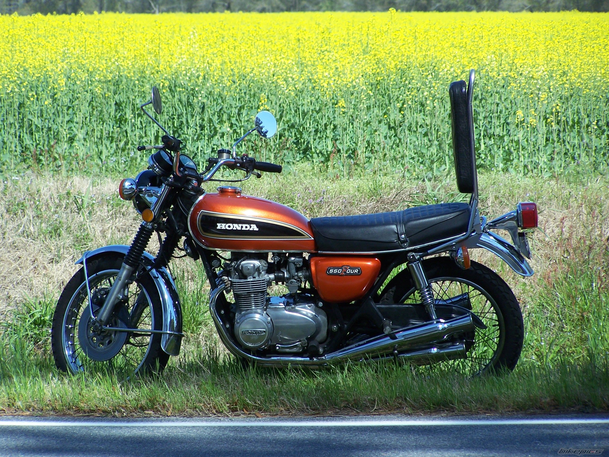1975 HONDA CB 550 | Picture 2115561 motorcycle photo