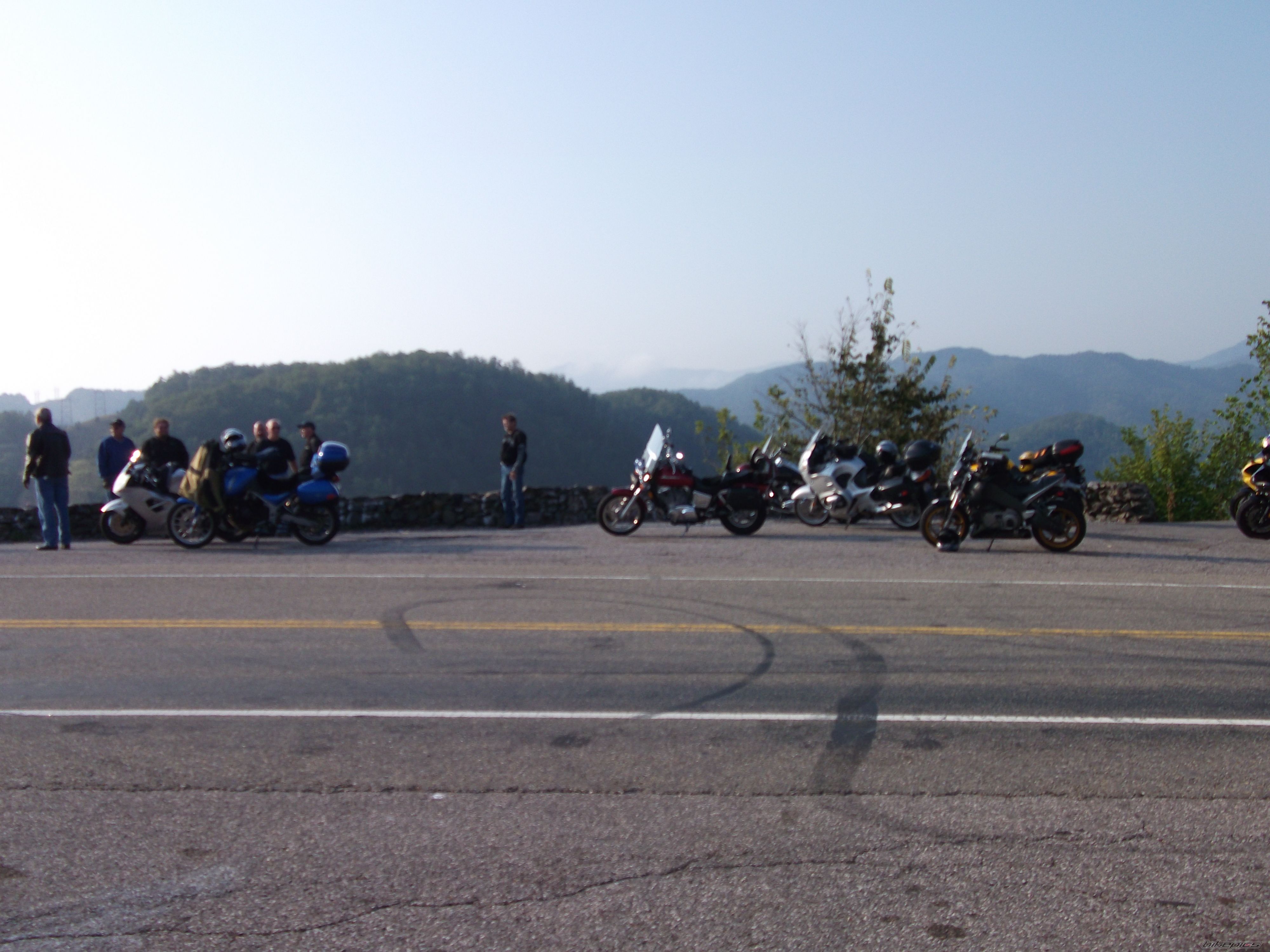 2006 TRIUMPH TIGER | Picture 2115861 motorcycle photo