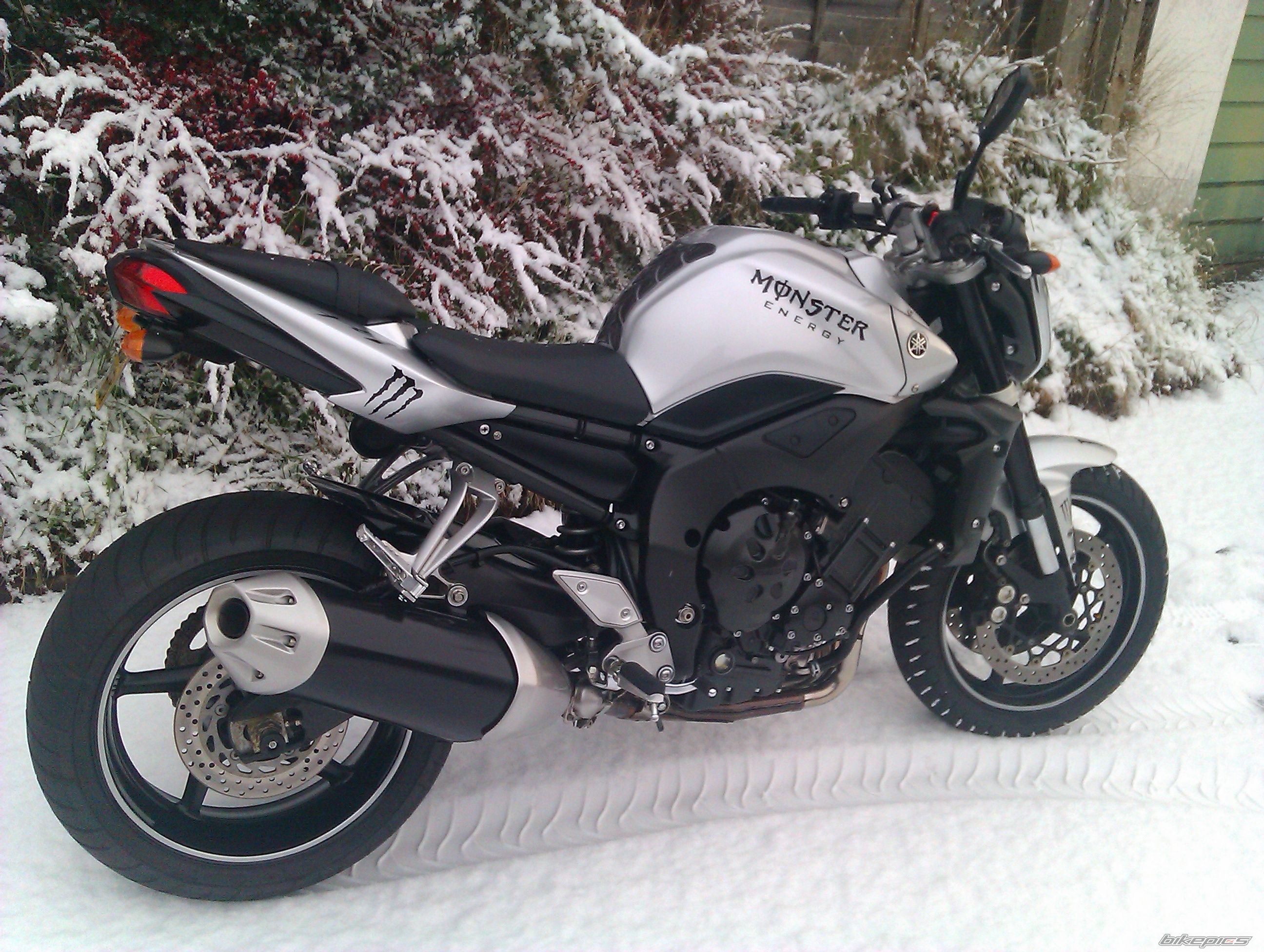 2008 YAMAHA FZ1 NAKED | Picture 2116075 motorcycle photo