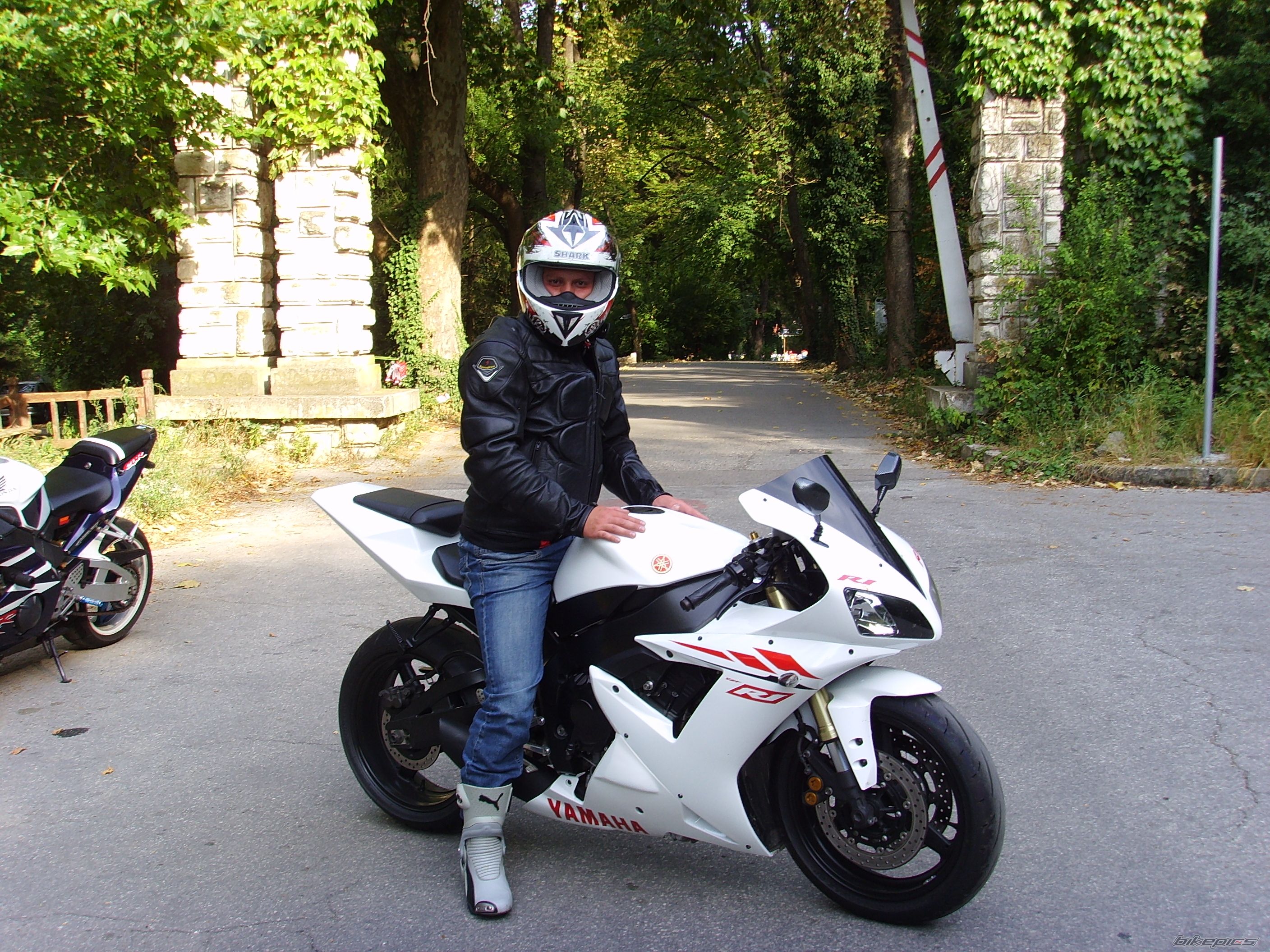 2003 YAMAHA YZF R1 | Picture 2116269 motorcycle photo
