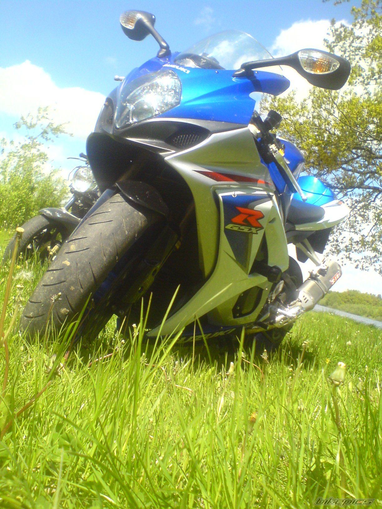 2008 SUZUKI GSX R 1000 | Picture 2116560 motorcycle photo