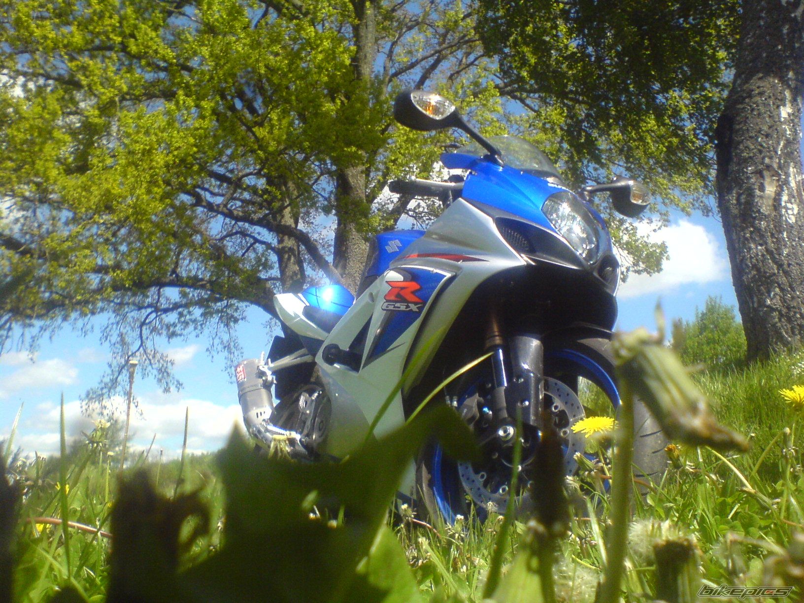 2008 SUZUKI GSX R 1000 | Picture 2116562 motorcycle photo
