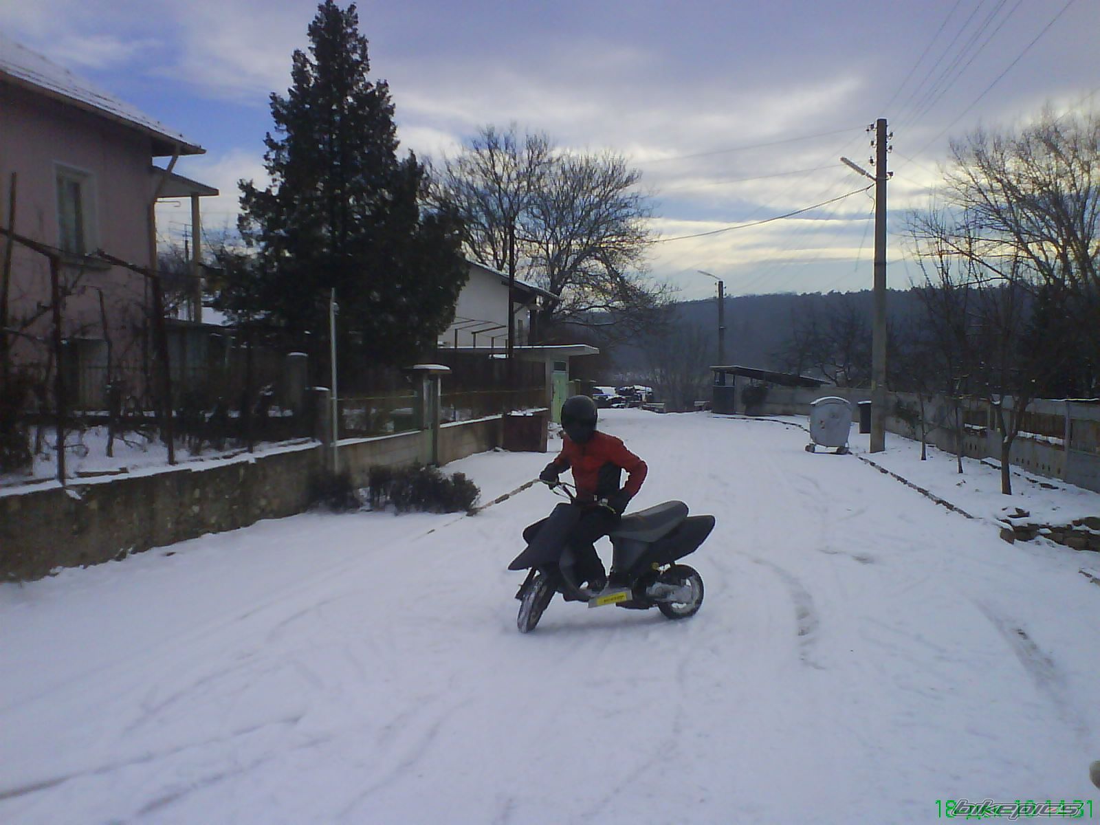 1994 HONDA VISION 50 | Picture 2116566 motorcycle photo