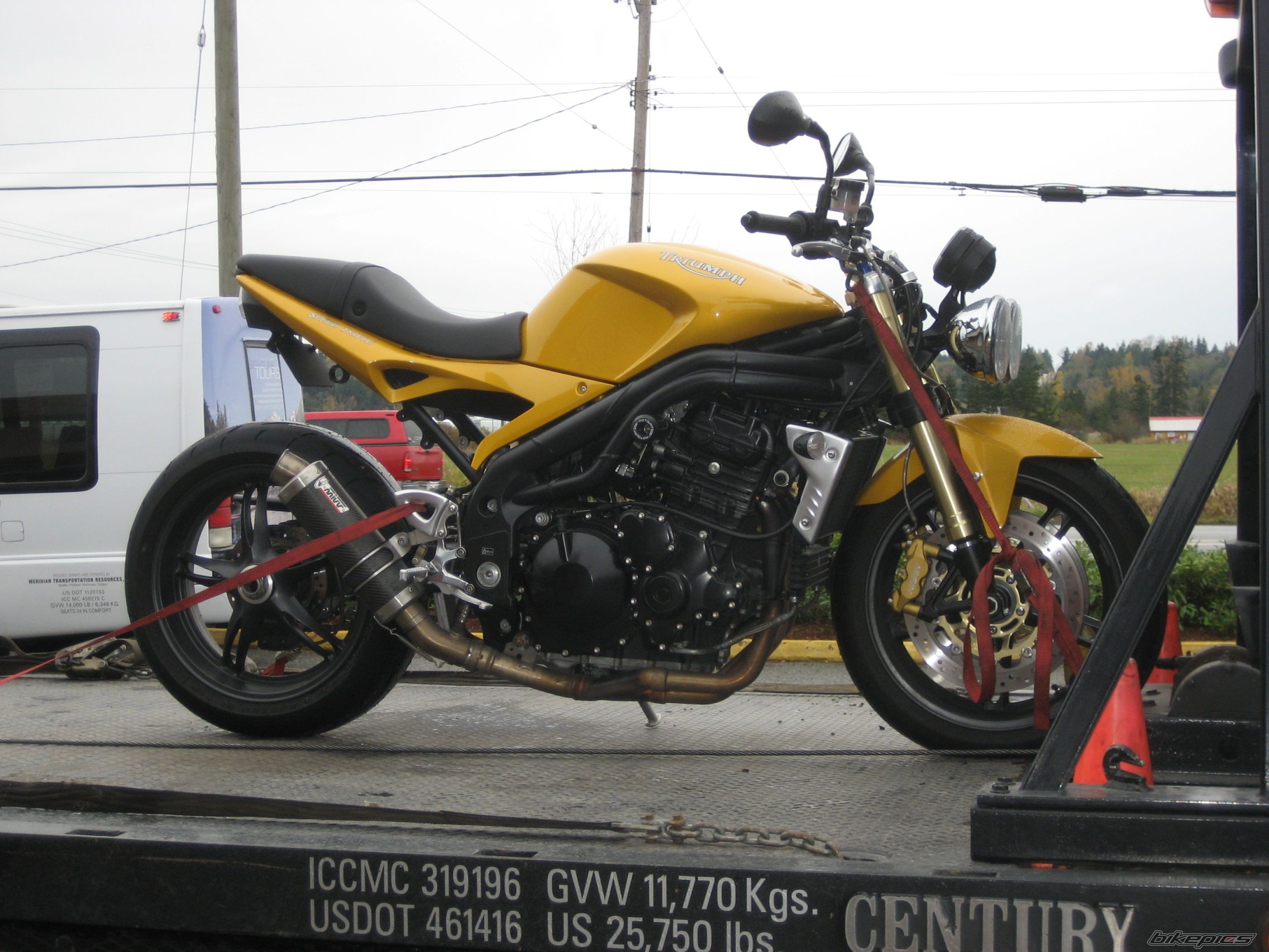 2006 TRIUMPH SPEED TRIPLE | Picture 2117991 motorcycle photo